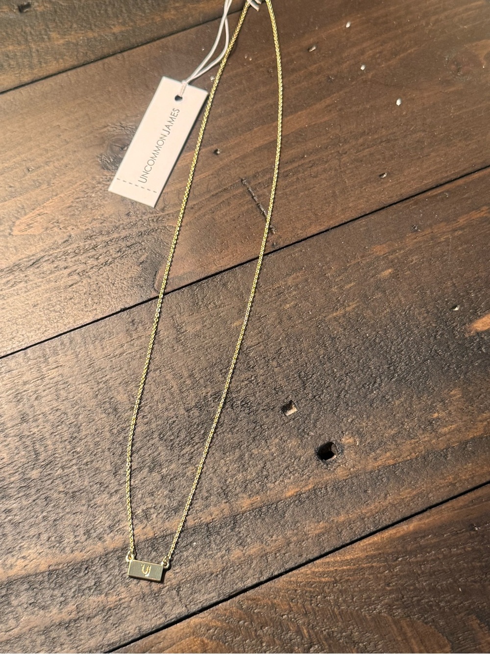 NWT Uncommon James UJ Plate Necklace in Gold